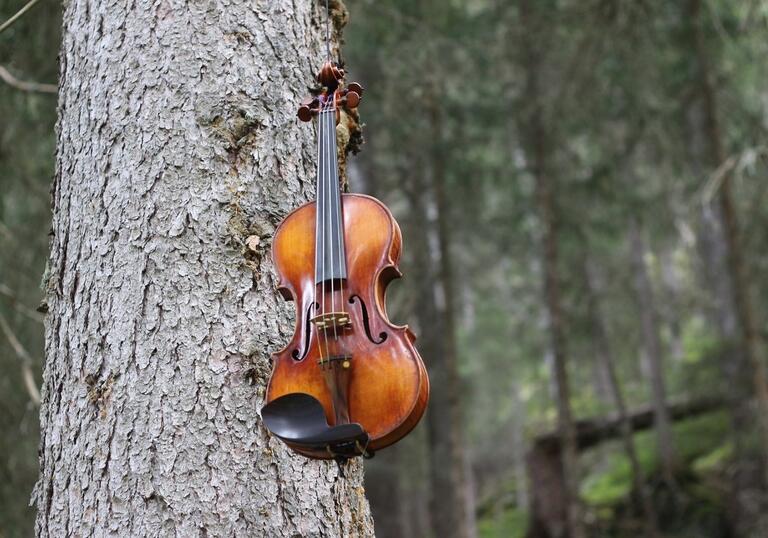 A photograph of a violin hanging from a tree.