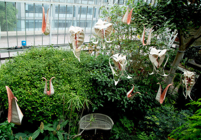 On the Wings of Crescent Moons installation in the conservatory