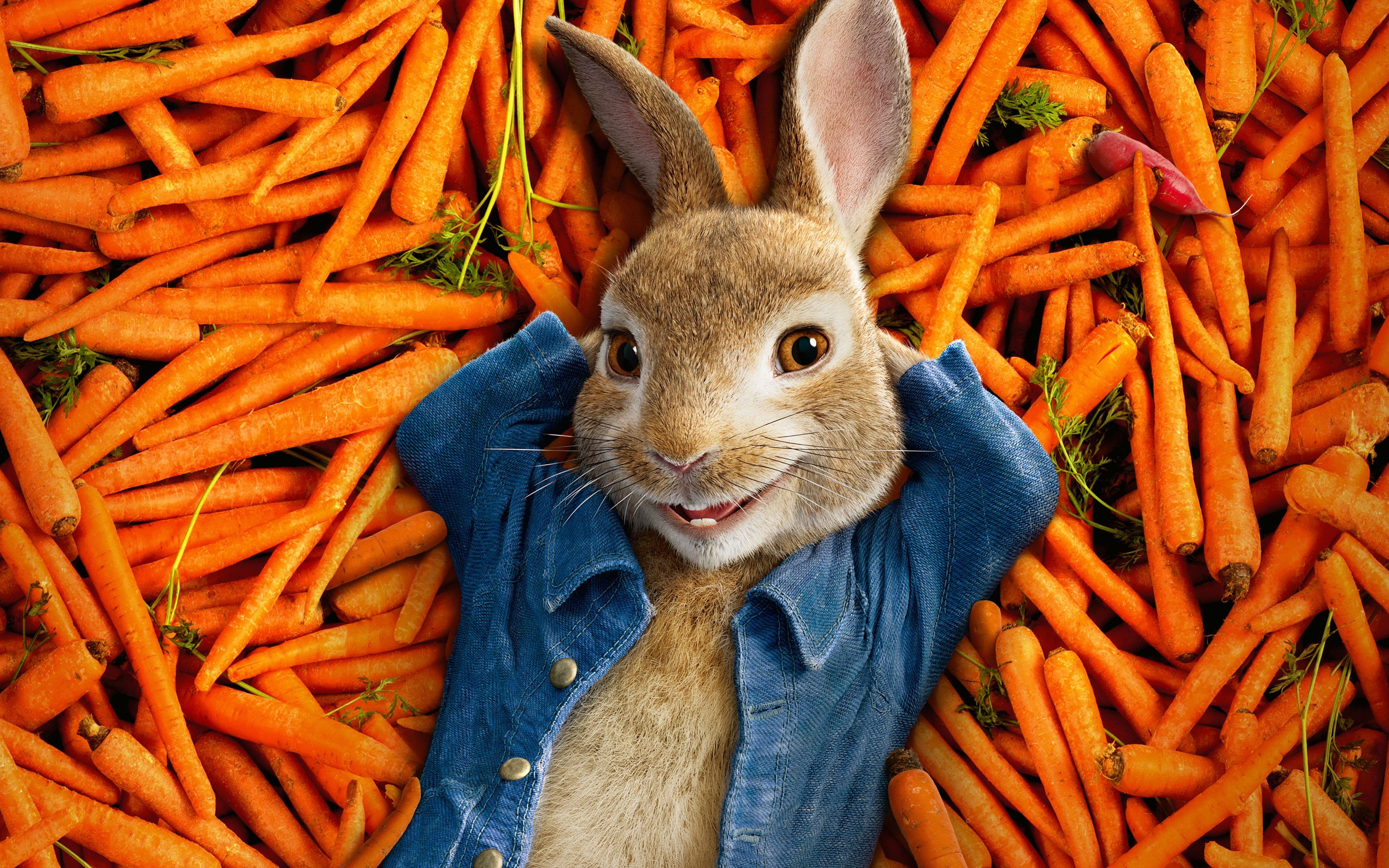 Rabbit Skip Hire Rabbit Skip Hire