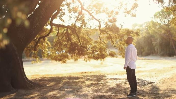 photo of man next to tree during golden hour