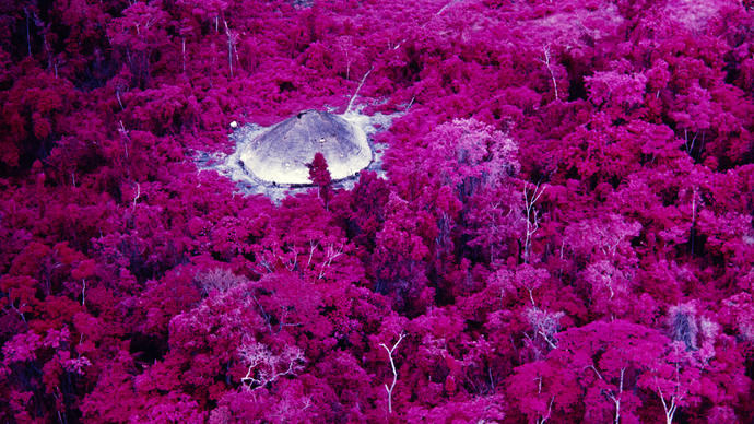 A high up, birds eye view image of a jungle. The trees are pink and purple colours.