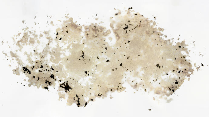 Artwork by Sam Winston using natural materials as ink