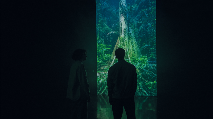 Two people have their backs to the camera looking at a large projection on the wall of lights in blue and green