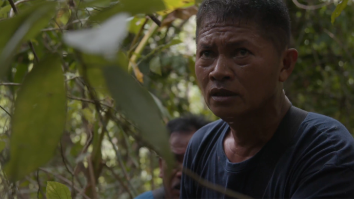 A man looks on in the jungle