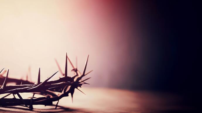 Close up image of a crown of thorns