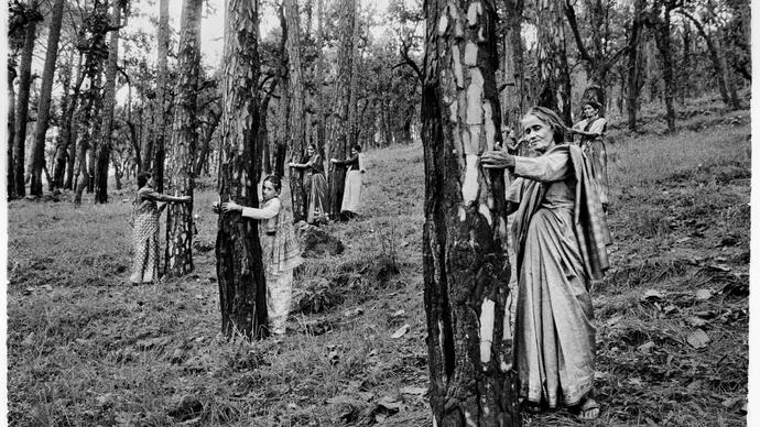 Pamela Singh, Chipko Tree Huggers of the Himalayas