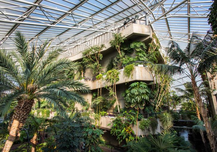 Photo of concrete flytower surrounded by trees and plants in the Barbican Conservatory