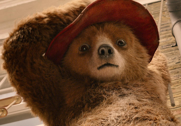 A still from Paddington 2, the second cinematic adventure of your favourite Peruvian bear