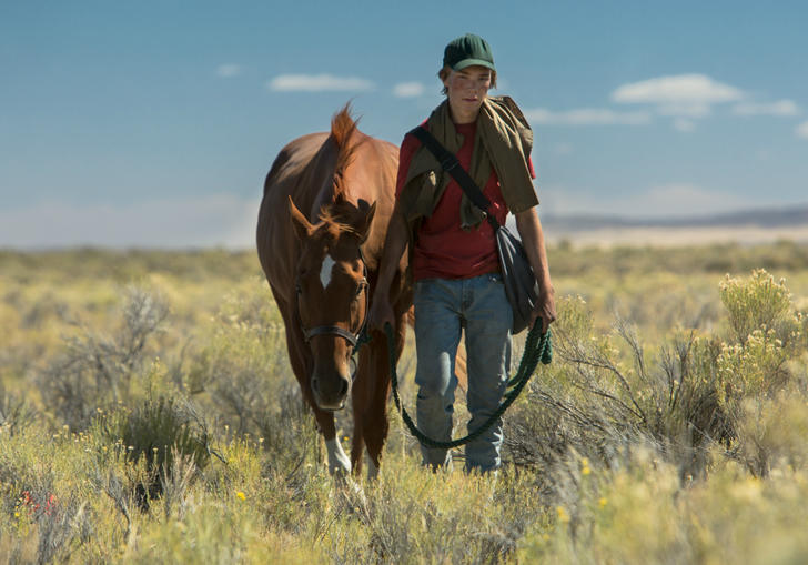 Andrew Haigh's Lean on Pete