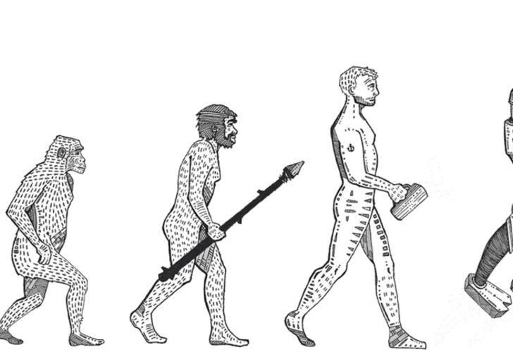 illustration of a monkey becoming a man through the stages of evolution