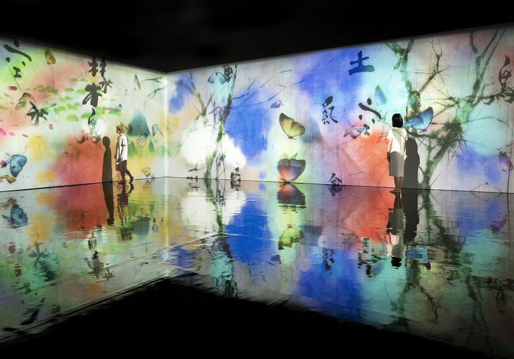 BIE_2019_TeamLab_install