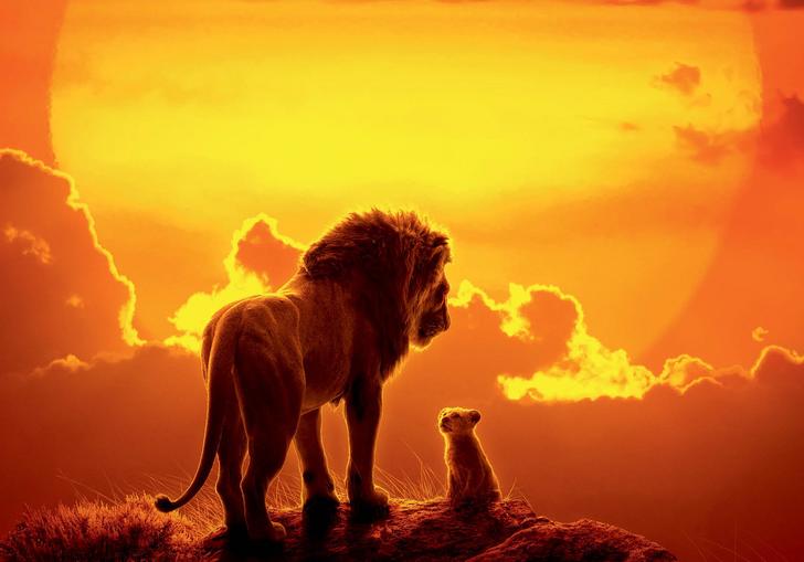 simba and mufasa in front of the sunset