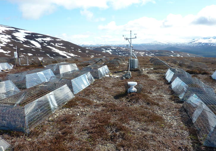 An image of test equipment at the Macaulay Land Use Institute in Culardoch, Scotland