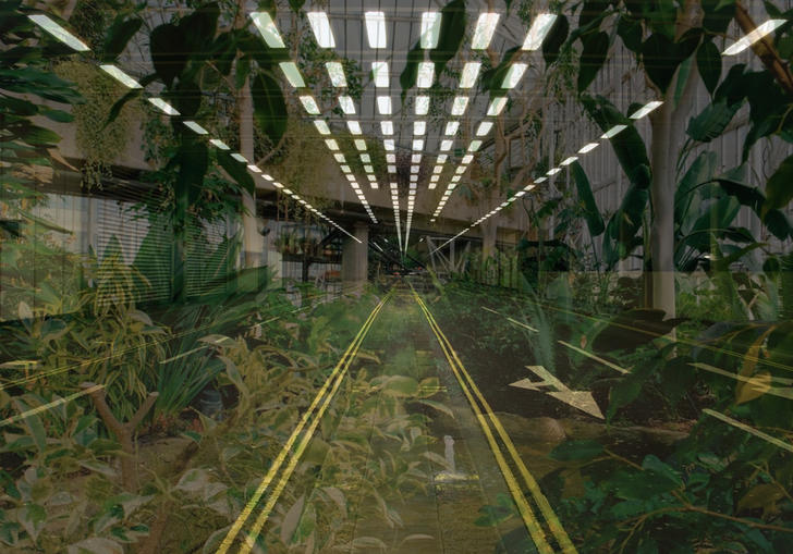 An image of the Barbican tunnel with plants inside 