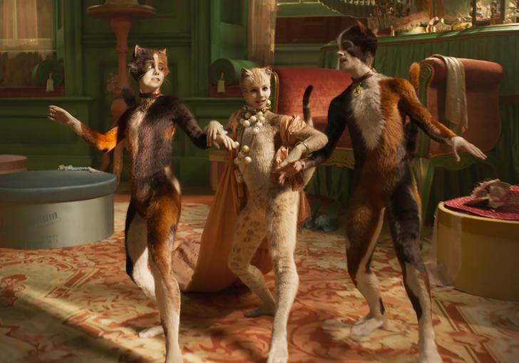 francesca hayward and two other cats dance around large furniture