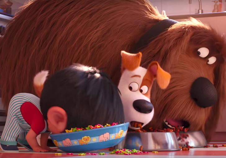 the two dogs watch as the baby eats out of the dog bowl