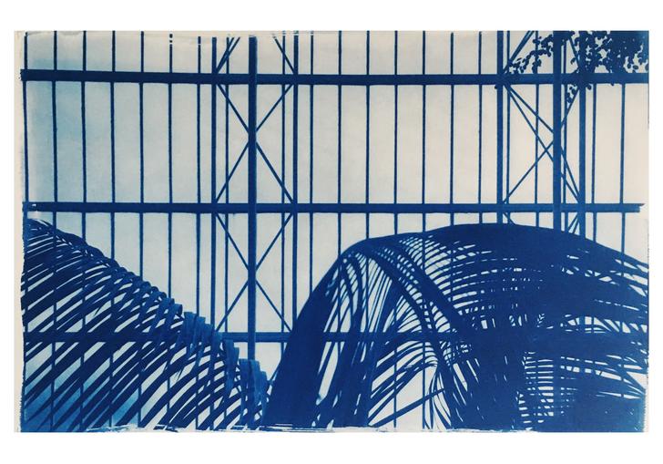 Cyanotype of Conservatory