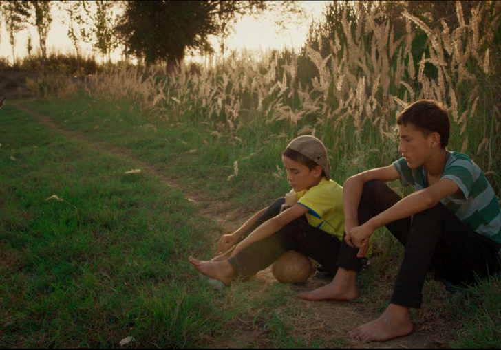 two kids sitting in a field with long grass behind them