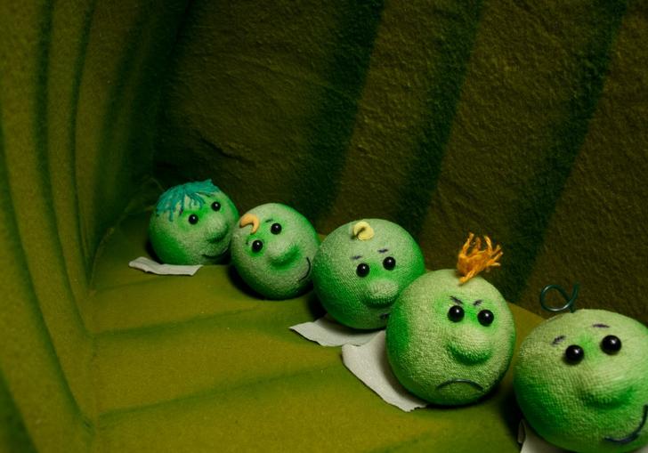 A row of five felt peas in side a larger pod