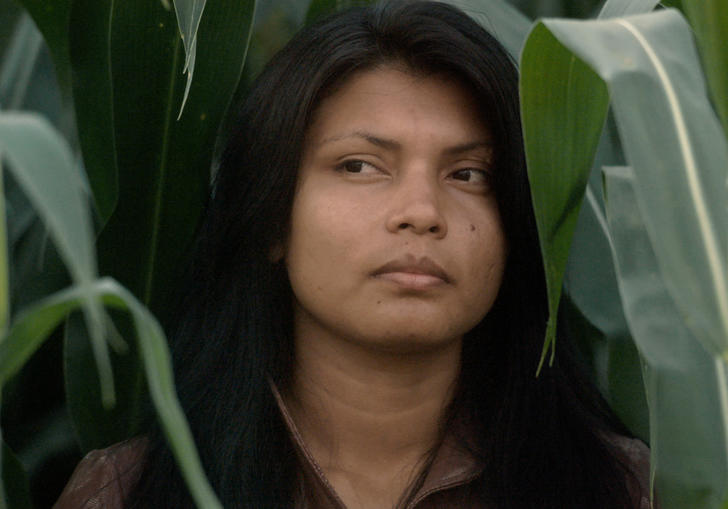 Woman within field of crops