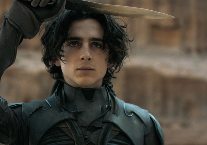 Timothée Chalamet as Paul in Dune