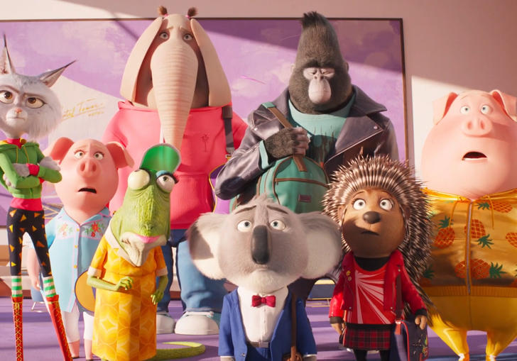 All the animals from Sing 2 lined up