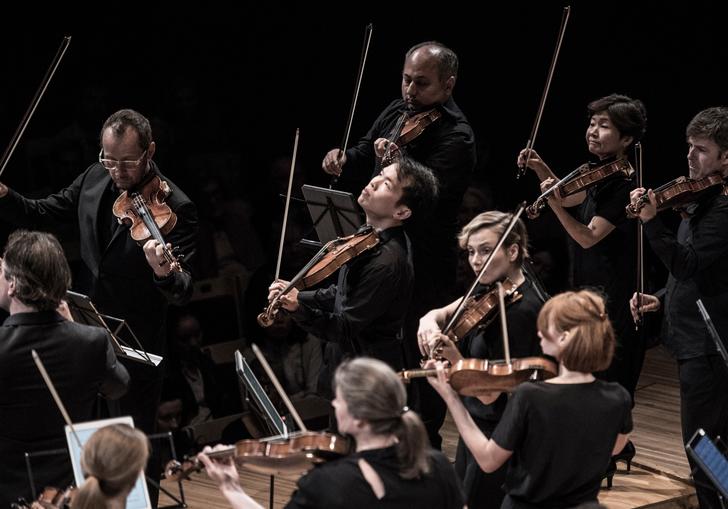 Violinists from the Australian Chamber Orchestra playing their instruments on stage
