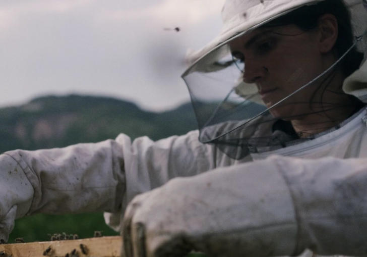 Still from Hive
