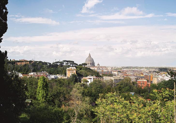 a photo of a city shot from a distance