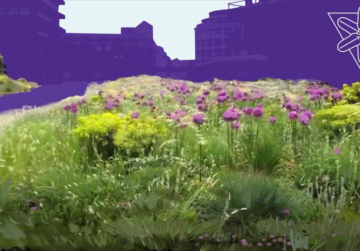 A grassy hill with a purple backdrop