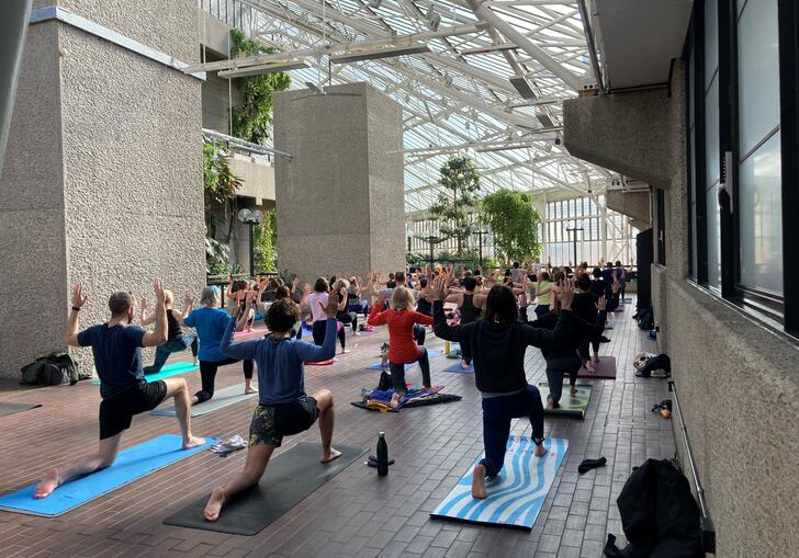 Yoga in the Conservatory