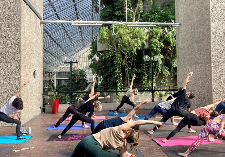 Yoga in the Conservatory