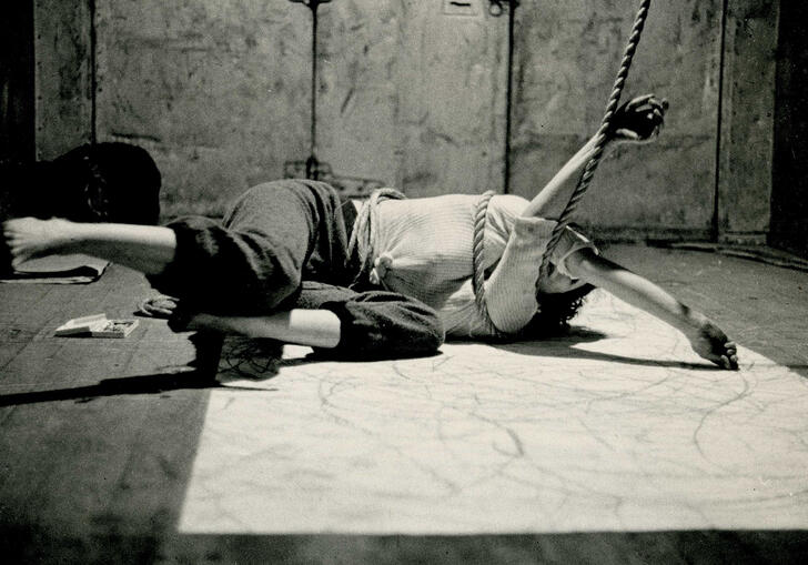 Carolee Schneemann - trackings