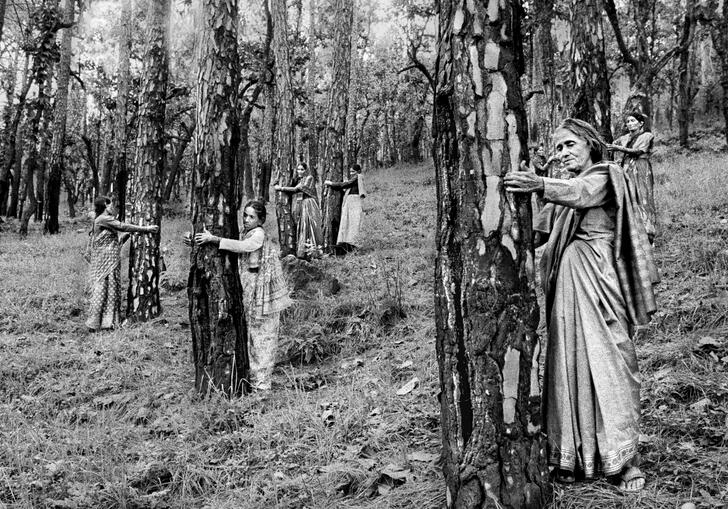 A black and white image of women with bows and arrows behind trees