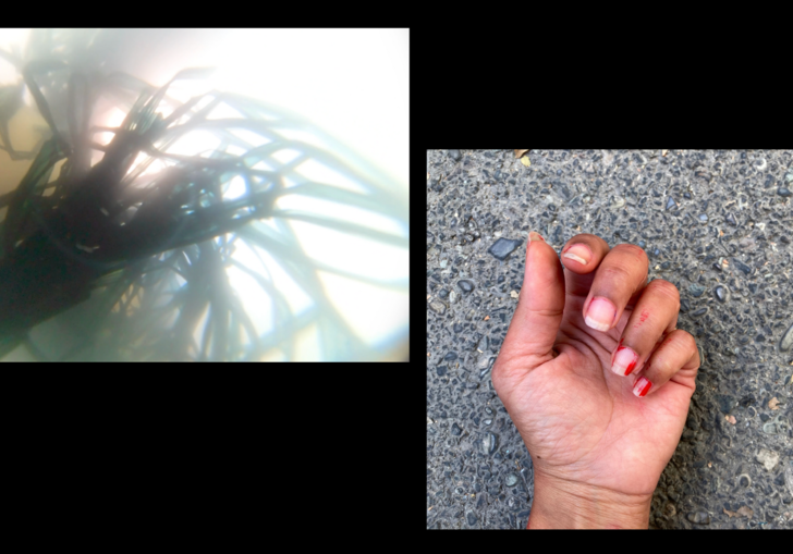 2 photograph images on a black background. Right image is of hair and the left image is a hand. 