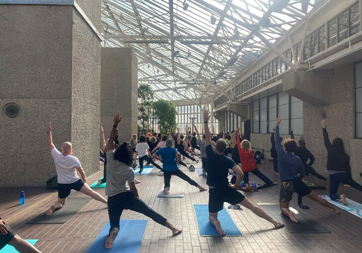 People doing yoga in the conservatory.