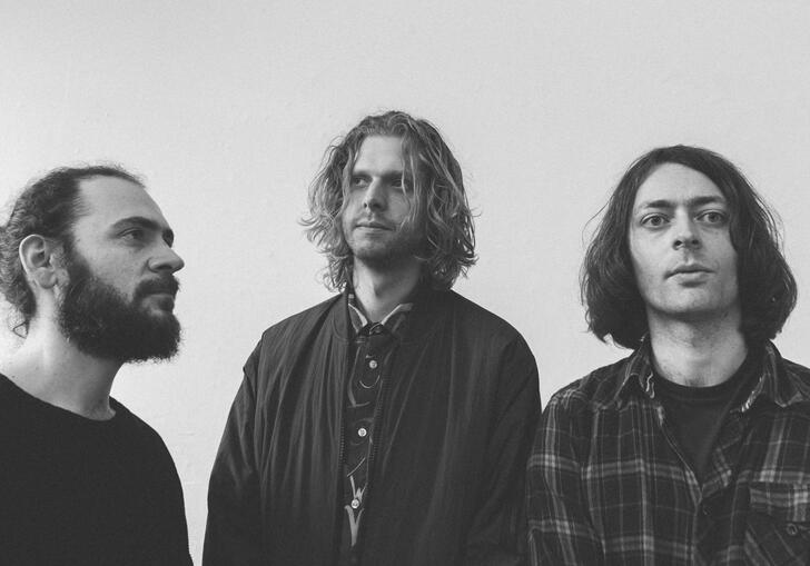 Black and white landscape press shot of Mammal Hands 
