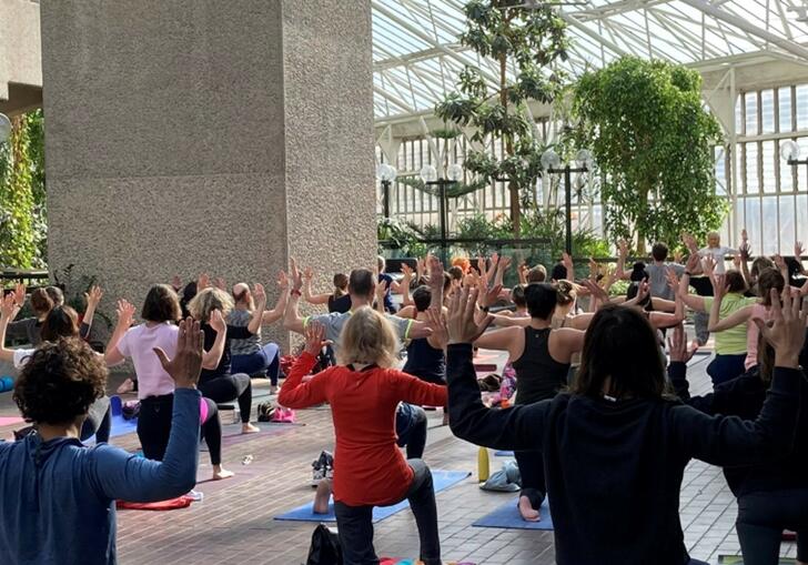 Members doing the cactus pose in a Yoga class on the Conservatory Terrace.