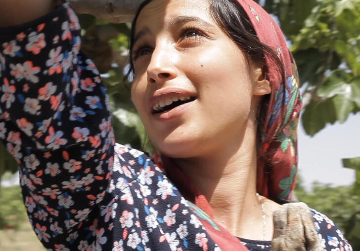 Still from Under The Fig Trees