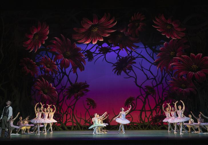 Ballet dancers perform on stage at night in front of large flowers