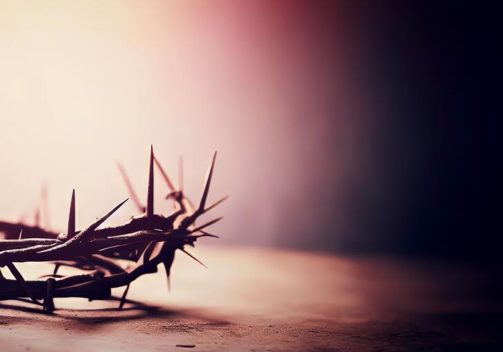 Close up image of a crown of thorns