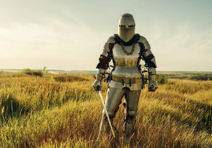 An armoured knight standing in a grassy field holding a sword