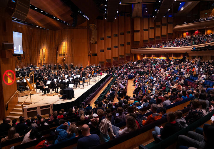 LSO Discovery Family Concert