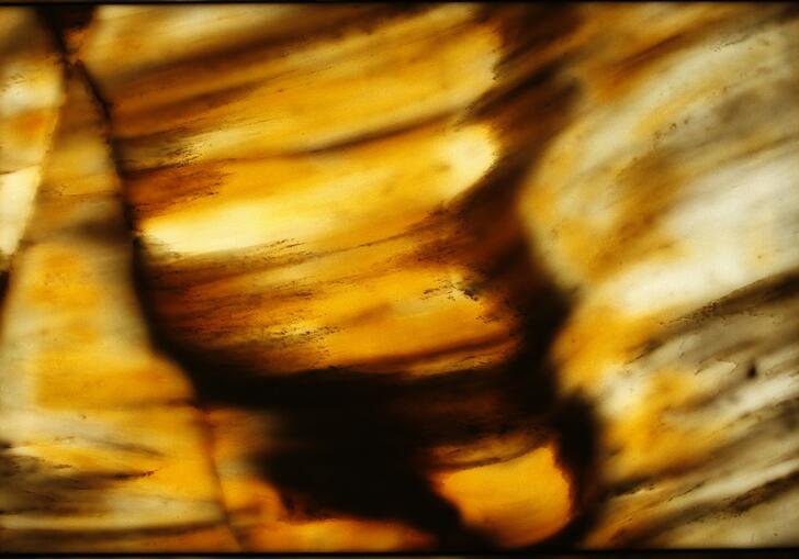 An abstract image in which light leaks through brushes, orange and brown like light through a window. 