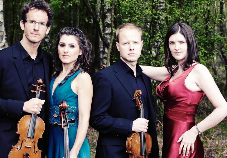 The Carducci Quartet in a forest, standing in a row holding their instruments