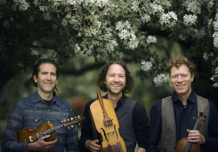 The members of Lodestar Trio standing in a row holding their instruments, in front of a tree with white blossom