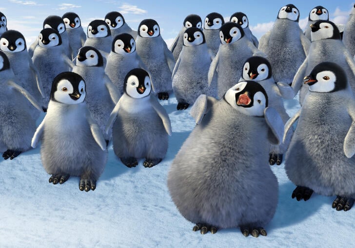A group of young, happy penguins stand together.