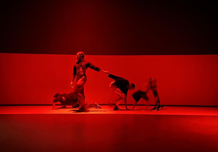 a photo of a dance performance