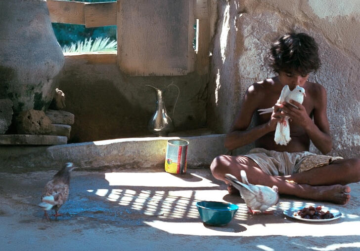 A still from Waiting, showing a teenage boy sitting cross-legged, holding a dove. On the floor around him is a plate of food and a silver jug.