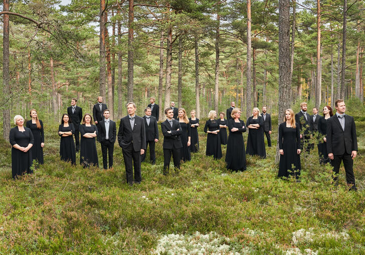 Estonian Philharmonic Chamber Choir standing in the forest